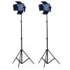 CamBee Lights