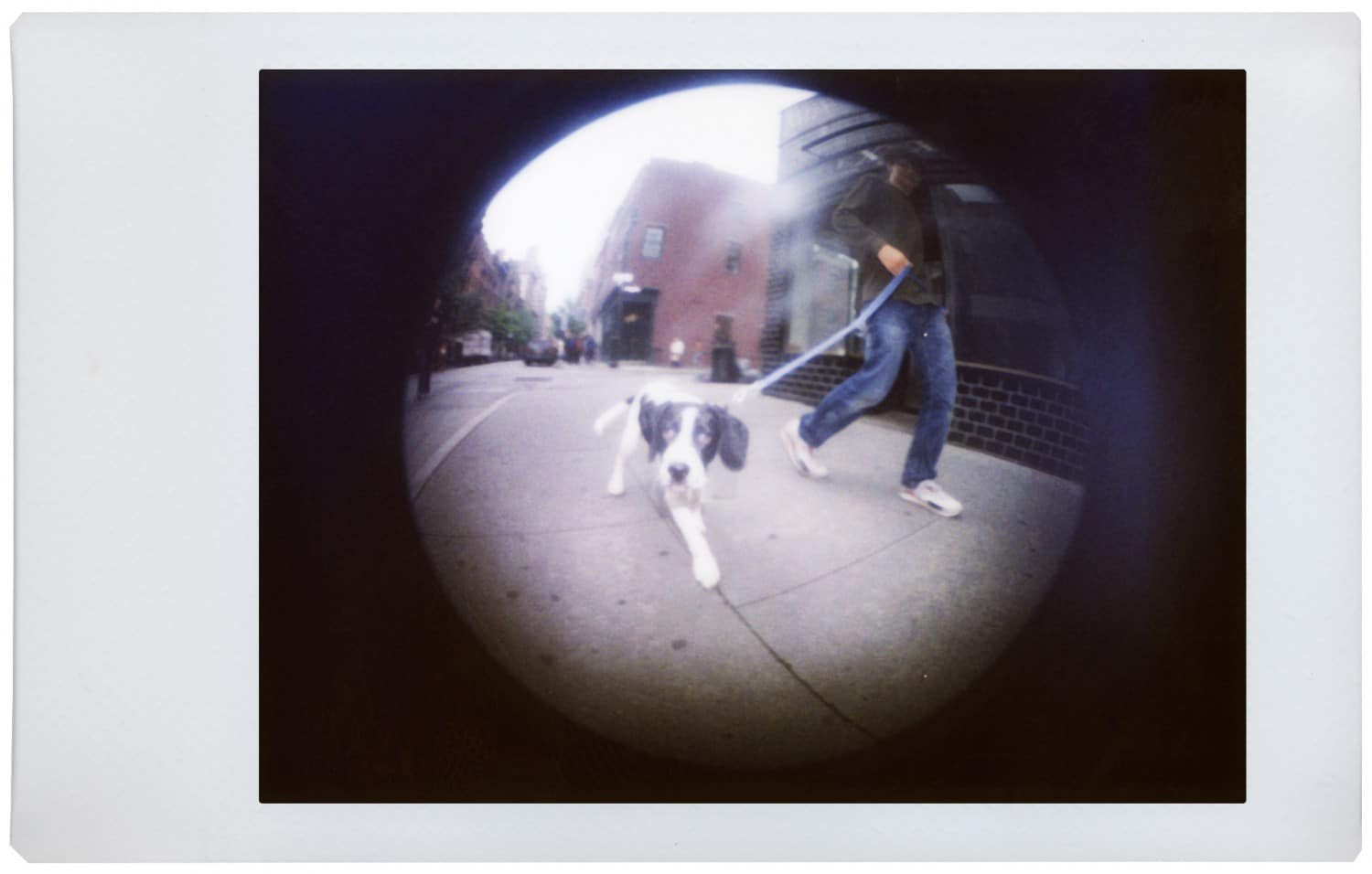 Lomography - Appareil photo instantané Lomo'Instant Sanremo + 3 objectifs créatifs